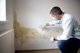 Trusted Clearlake Riviera, CA Mold Remediation Experts